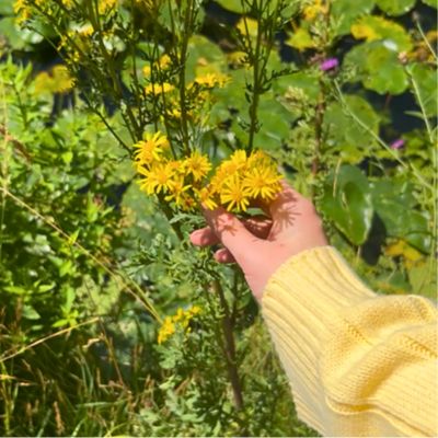 Nature Prescribing with the RSPB