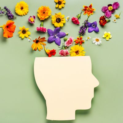 Getting to know your emotions