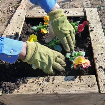 Gardening