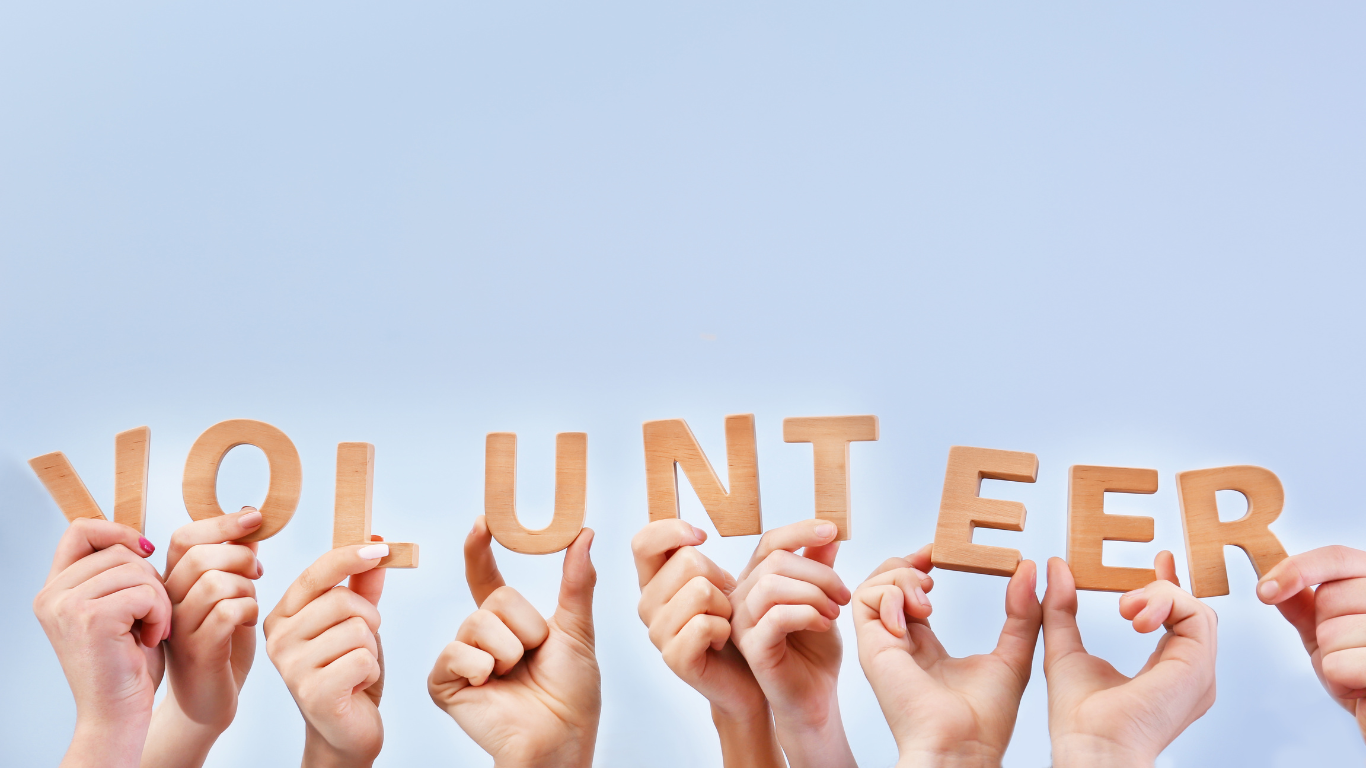 Volunteer Workshops