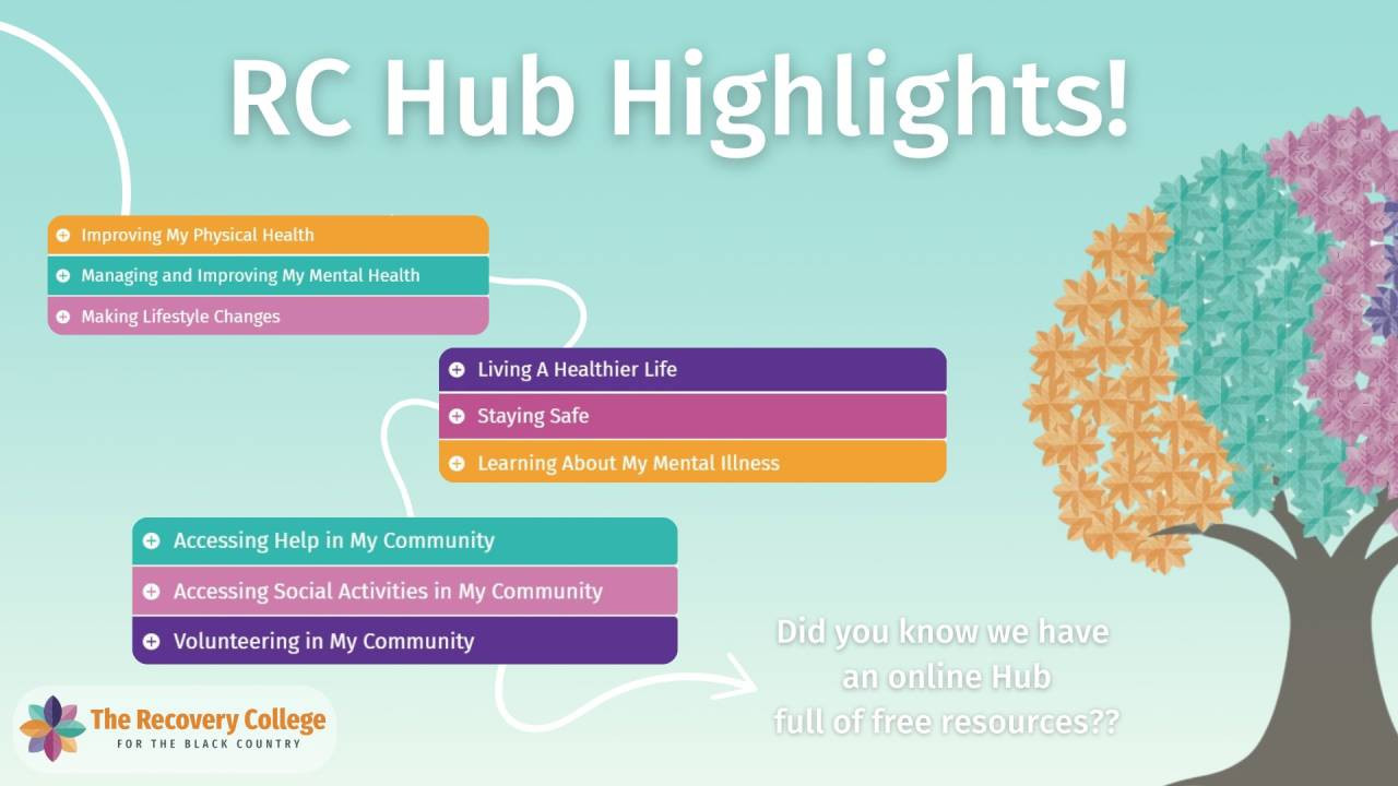 RC-Hub-Highlights-2